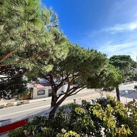 Joli Studio Calvi 50M Plage Exterior photo