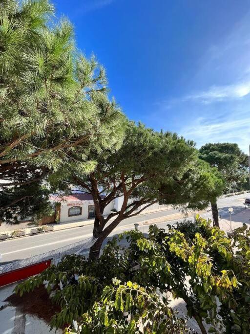 Joli Studio Calvi 50M Plage Exterior photo